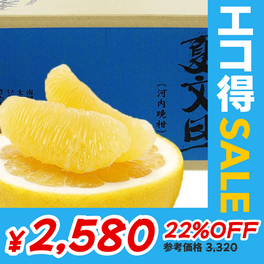愛媛県産　訳アリ河内晩柑10kg【エコ得SALE】