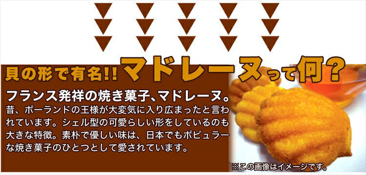 有名洋菓子店の高級マドレーヌどっさり1kg