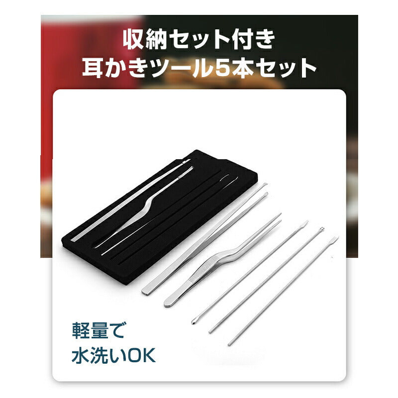 耳かき ツール 5本セット ピンセット 耳垢 掃除 除去 ステンレススチール 水洗い スッキリ ごっそり 汚れ 根こそぎ 安全 収納ケース付き