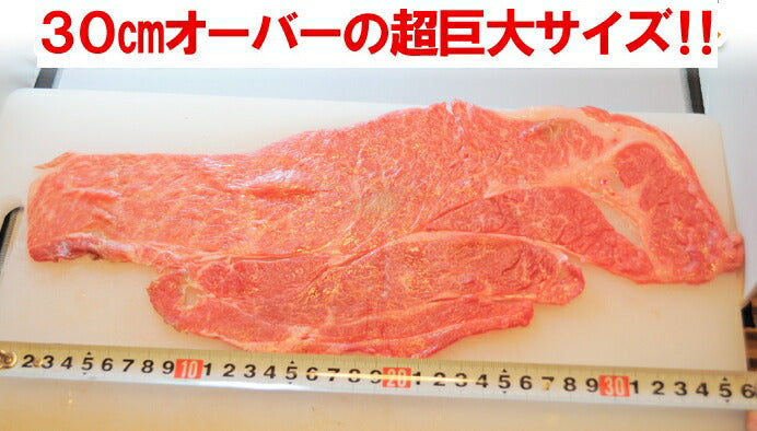 飛騨牛A5等級モモ