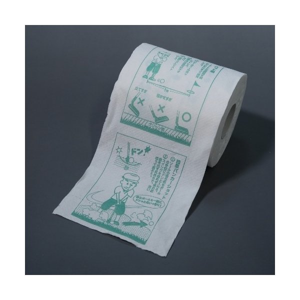 トイレットペーパー Let’s100切り ダブル30m 個包装100個