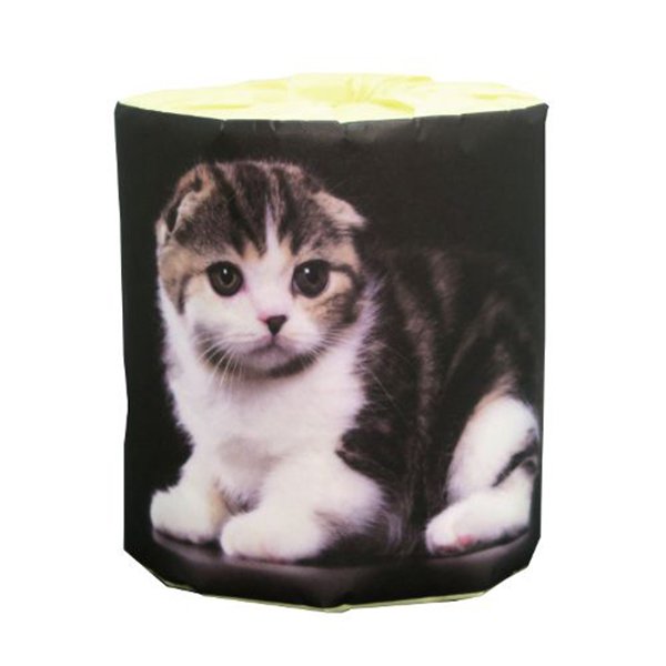 トイレットペーパー 仔猫 5種類アソート ダブル30m 個包装50個