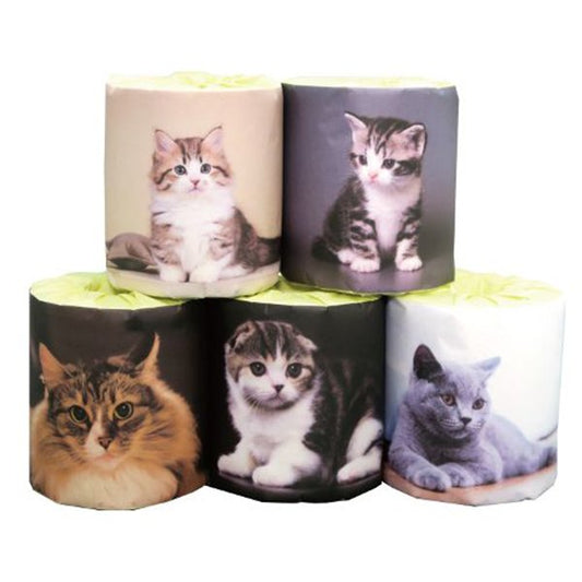 トイレットペーパー 仔猫 5種類アソート ダブル30m 個包装50個