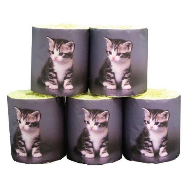 トイレットペーパー 仔猫 アメショー ダブル30m 個包装100個