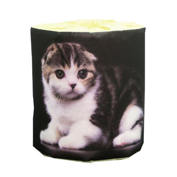トイレットペーパー 仔猫 スコティッシュ ダブル30m 個包装50個