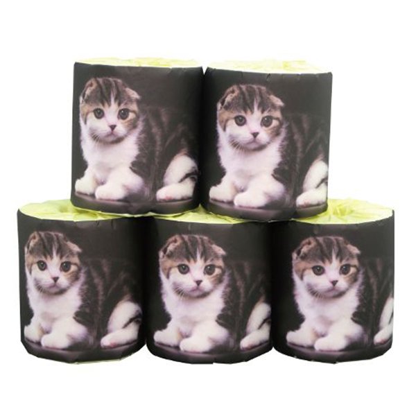 トイレットペーパー 仔猫 スコティッシュ ダブル30m 個包装100個