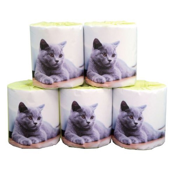 トイレットペーパー 仔猫 ブリティッシュ ダブル30m 個包装50個