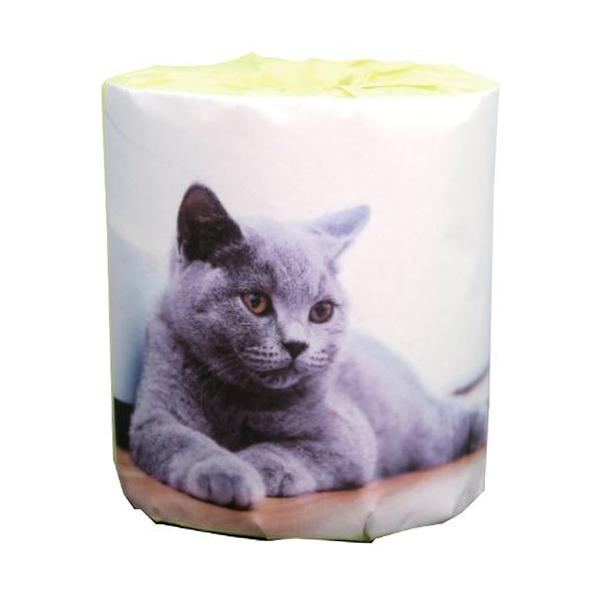 トイレットペーパー 仔猫 ブリティッシュ ダブル30m 個包装100個