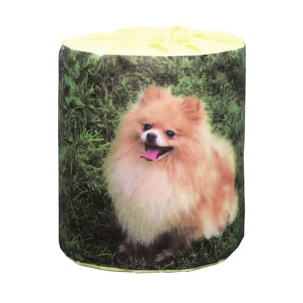 トイレットペーパー 仔犬 5種類アソート ダブル30m 個包装50個