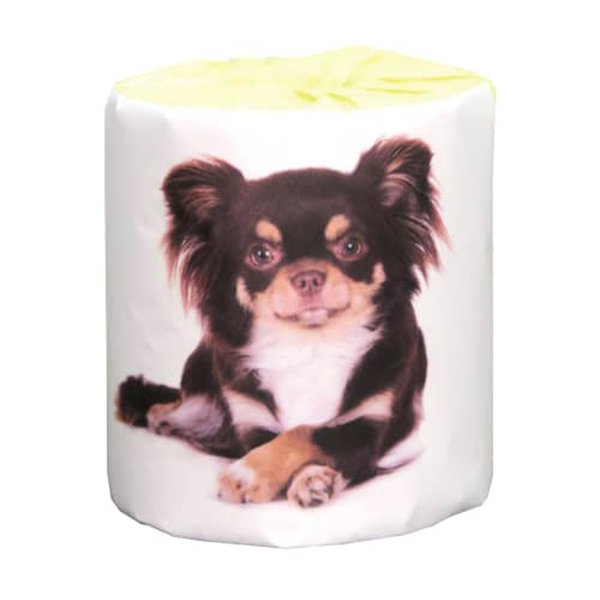 トイレットペーパー 仔犬 チワワ ダブル30m 個包装50個