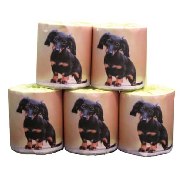 トイレットペーパー 仔犬 ミニチュアダックス ダブル30m 個包装100個