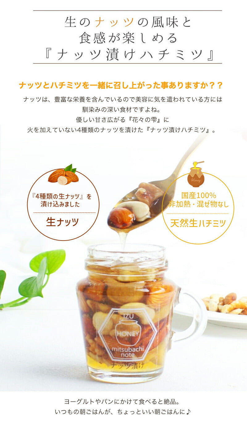 ナッツ漬け 国産 天然 生ハチミツ 120g 国産蜂蜜 瓶詰 非加熱 4種のナッツ入りハチミツ