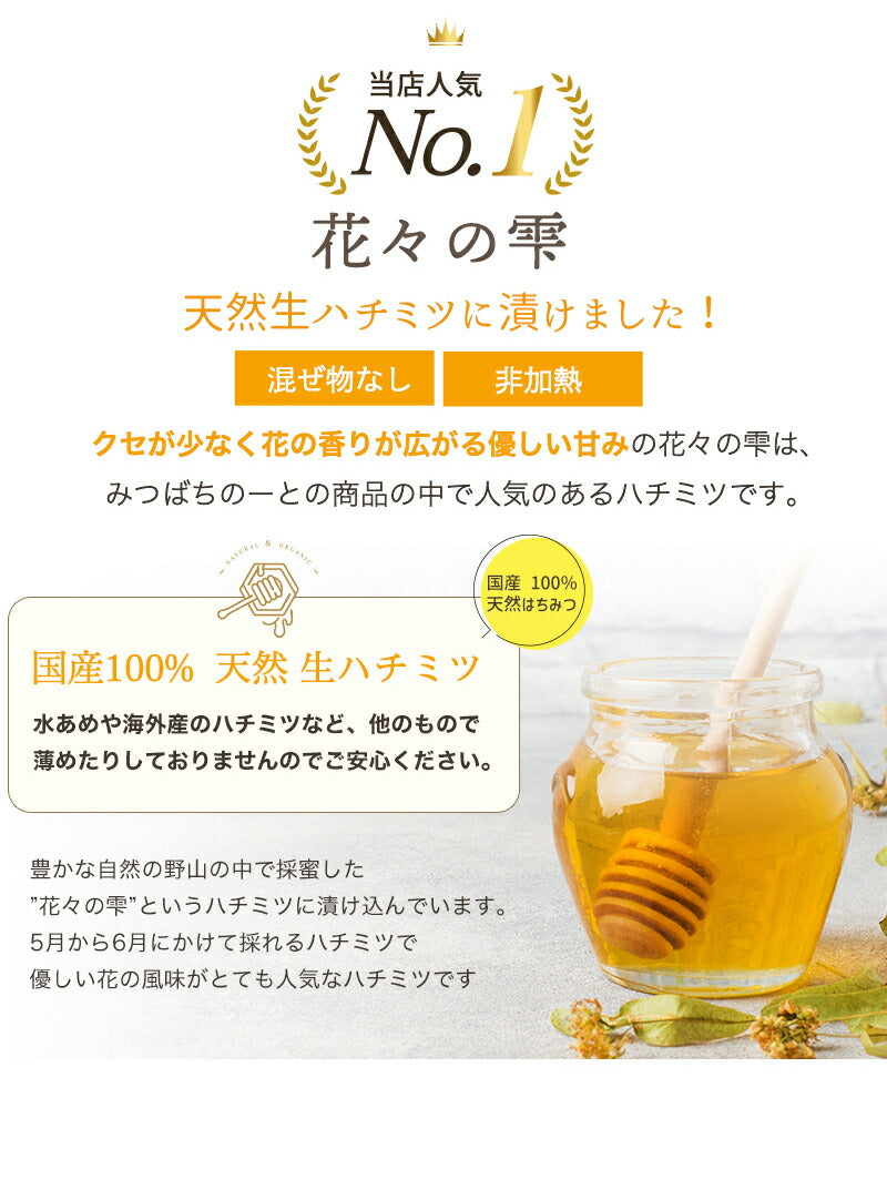 ナッツ漬け 国産 天然 生ハチミツ 120g 国産蜂蜜 瓶詰 非加熱 4種のナッツ入りハチミツ