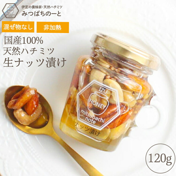ナッツ漬け 国産 天然 生ハチミツ 120g 国産蜂蜜 瓶詰 非加熱 4種のナッツ入りハチミツ