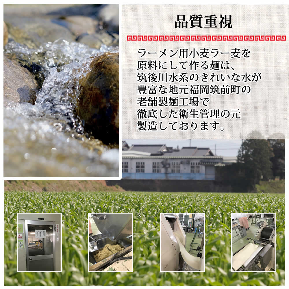 【3人シェア買いでお得】6食入 　博多ラーメン　 国産 福岡県産ラー麦 本格半生麺