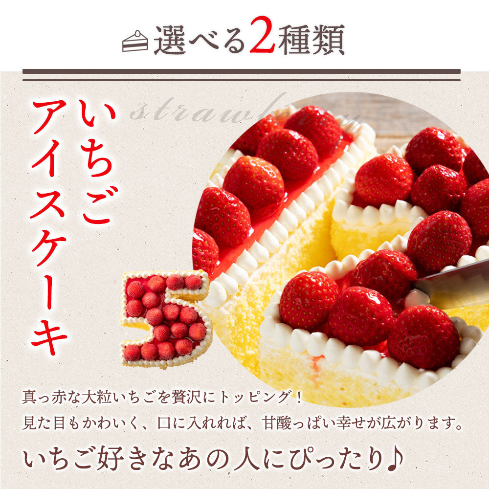 誕生日ケーキ 【パティシエ手作り】アイス数字ケーキ  [ スイーツ アイス ケーキ ナンバーケーキ アニバーサリーケーキ 西内花月堂 オリジナル 立体 パーティー 誕生日 ギフト 大人 子供 かわいい セット お取り寄せ おしゃれ プチギフト  ]