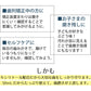 Ci ダブルプラークチェッカー (歯垢染色液) 1本(50ml) グレープフレーバー 【歯垢取り】【 歯垢染色ジェル】【メール便送料無料】