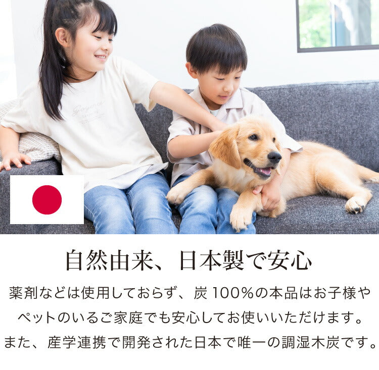 炭八 スマート小袋 1個脱臭炭 脱臭剤 消臭剤 インテリア 繰り返し使える調湿木炭 出雲カーボン 出雲屋炭八(代引不可)【メール便配送】【送料無料】