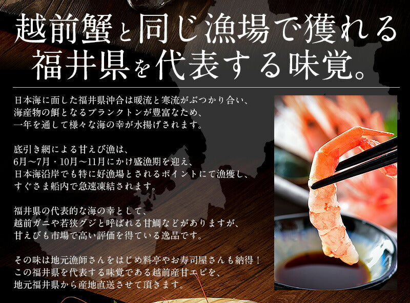 【超得ハイパーSALE】越前産 甘えび 子持ち特大サイズ 500g（約30尾入り） 甘エビ 刺身用 ［送料無料］ 産地直送 海鮮 エビ セット 海老 大 甘海老 美味しい 大きい えび 冷凍えび 冷凍エビ 食品ギフト ごちそう 贈り物 贈答 母の日 プレゼント ギフト