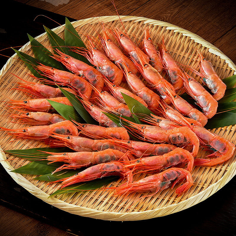 【SUPER在庫処分市】越前産 甘えび 子持ち特大サイズ 500g（約30尾入り） 甘エビ 刺身用 ［送料無料］ 産地直送 海鮮 エビ セット 海老 大 甘海老 美味しい 大きい えび 冷凍えび 冷凍エビ 食品ギフト ごちそう 贈り物 贈答 母の日 プレゼント ギフト