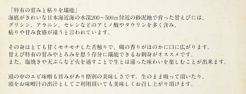 【SUPER在庫処分市】越前産 甘えび 甘エビ 子持ち 500g（約40尾入り） 冷凍エビ 冷凍えび 冷凍海老 刺身用 天然 食べ物 海鮮 魚介 水産 冷凍 祝い お徳用 国内 魚介類 美味しいお取り寄せ グルメ 贈り物 母の日 プレゼント ギフト  母の日思いの 実用的