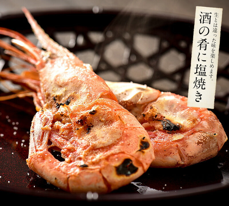 【SUPER在庫処分市】越前産 甘えび 甘エビ 子持ち 500g（約40尾入り） 冷凍エビ 冷凍えび 冷凍海老 刺身用 天然 食べ物 海鮮 魚介 水産 冷凍 祝い お徳用 国内 魚介類 美味しいお取り寄せ グルメ 贈り物 母の日 プレゼント ギフト  母の日思いの 実用的