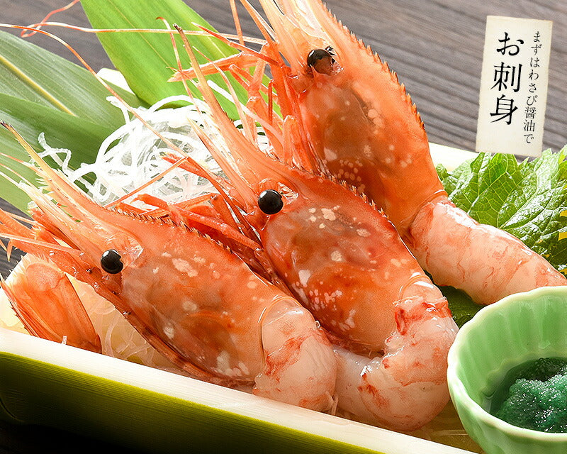 ボタンエビ 1kg（500g×2/約22〜24尾入り） ぼたんえび 牡丹海老 海老 食べ物 エビ えび 海鮮 ボタン海老 美味しい 大量 凍エビ 冷凍えび 贈答用 グルメ 贈り物 ［送料無料］ ギフト プレゼント