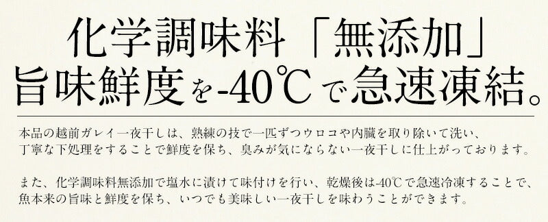 干物 越前ガレイ 越前がれい カレイ かれい 鰈 大サイズ×2尾 赤ガレイ 赤カレイ 赤鰈 美味しい お魚 グルメ 魚 おつまみ おかず 酒の肴 海鮮 お取り寄せグルメ 酒のつまみ 食べ物 贈り物 ごちそう ギフト