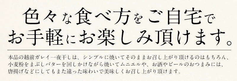 干物 越前ガレイ 越前がれい カレイ かれい 鰈 大サイズ×2尾 赤ガレイ 赤カレイ 赤鰈 美味しい お魚 グルメ 魚 おつまみ おかず 酒の肴 海鮮 お取り寄せグルメ 酒のつまみ 食べ物 贈り物 ごちそう ギフト