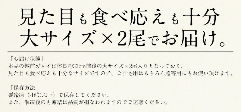 干物 越前ガレイ 越前がれい カレイ かれい 鰈 大サイズ×2尾 赤ガレイ 赤カレイ 赤鰈 美味しい お魚 グルメ 魚 おつまみ おかず 酒の肴 海鮮 お取り寄せグルメ 酒のつまみ 食べ物 贈り物 ごちそう ギフト