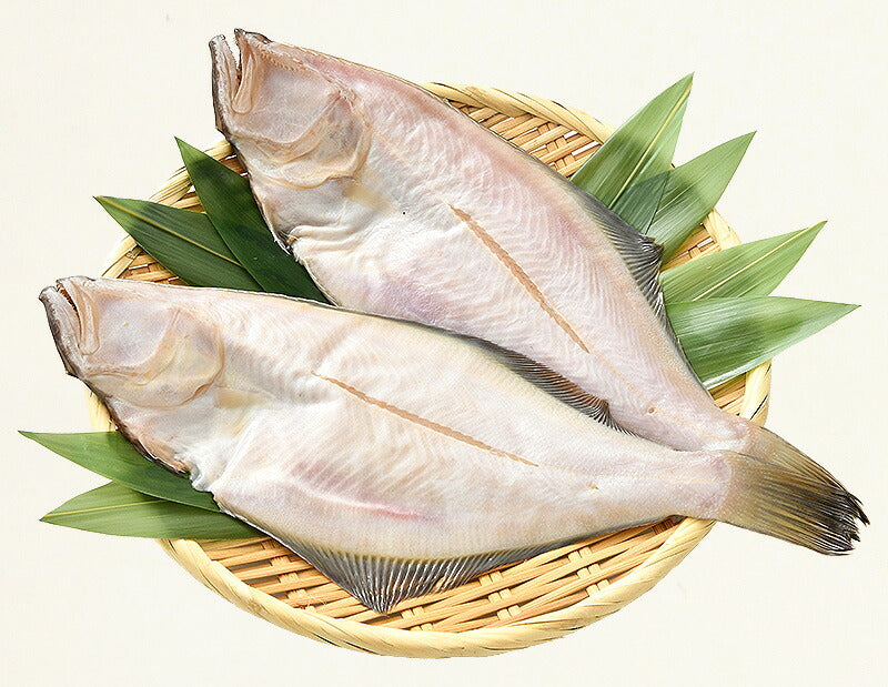 干物 越前ガレイ 越前がれい カレイ かれい 鰈 大サイズ×2尾 赤ガレイ 赤カレイ 赤鰈 美味しい お魚 グルメ 魚 おつまみ おかず 酒の肴 海鮮 お取り寄せグルメ 酒のつまみ 食べ物 贈り物 ごちそう ギフト