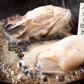 かき 剥き身 1kg 大粒 1キロ