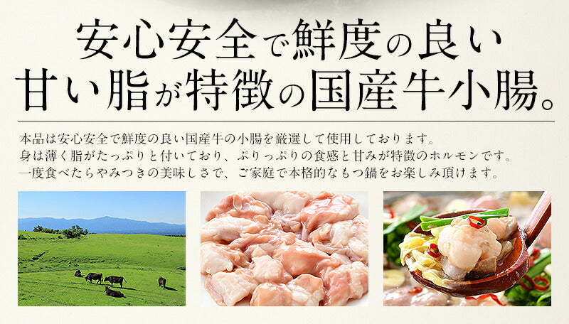 もつ鍋 醤油 取り寄せ もつ鍋セット 福岡 2〜3人前 牛もつ鍋 博多もつ鍋 2人前 3人前 美味しい 絶品 鍋セット モツ 博多もつなべ 博多 味噌 博多もつ鍋セット 鍋 食品 送料無料