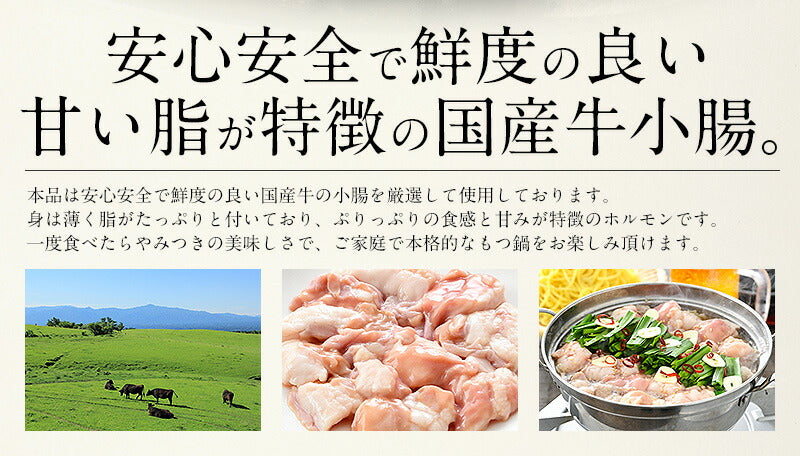 もつ鍋 取り寄せ もつ鍋セット 福岡 2〜3人前 モツ鍋 もつ鍋スープ 2種類入（醤油＆味噌） もつ 鍋 モツ 鍋セット ナベ もつなべ おすすめ食品 美味しい もの 絶品 牛もつ 牛モツ 国産 食べ物 グルメ 贈り物［送料無料］