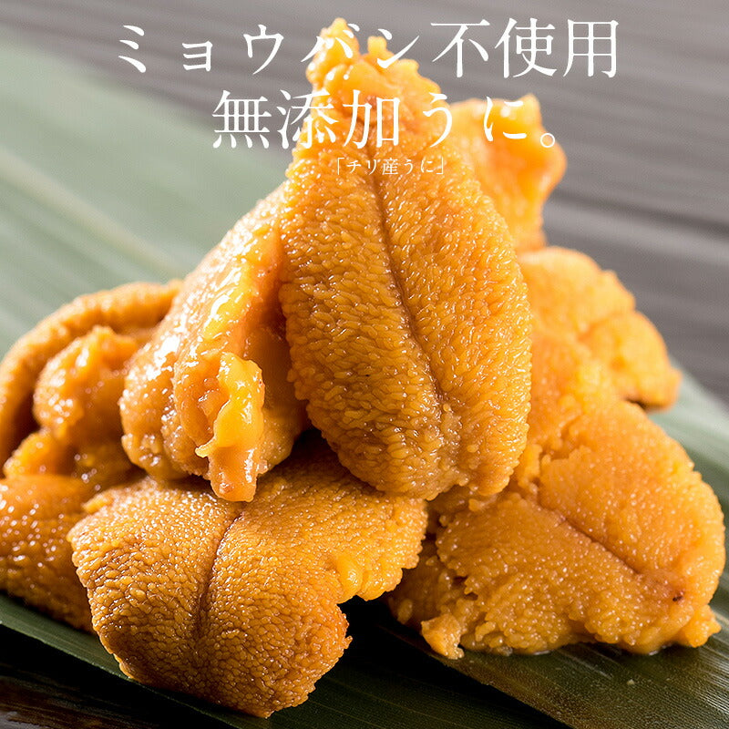 ウニ うに 200g（100g×2パック） 無添加 雲丹 お取り寄せ 海鮮 チリ チリ産 魚卵 高級グルメ 高級海鮮 お取り寄せグルメ 海鮮ギフト 美味しい 食品ギフト 高級食材 ［送料無料］ ギフト プレゼント