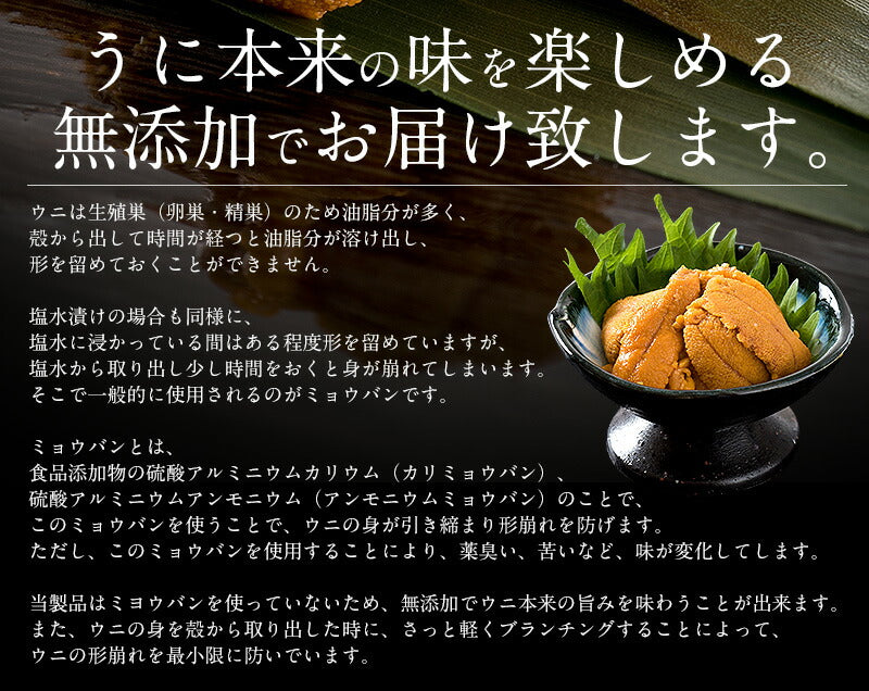 ウニ うに 200g（100g×2パック） 無添加 雲丹 お取り寄せ 海鮮 チリ チリ産 魚卵 高級グルメ 高級海鮮 お取り寄せグルメ 海鮮ギフト 美味しい 食品ギフト 高級食材 ［送料無料］ ギフト プレゼント