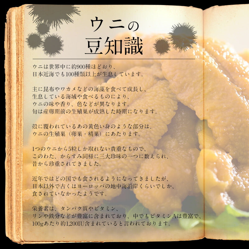 ウニ うに 200g（100g×2パック） 無添加 雲丹 お取り寄せ 海鮮 チリ チリ産 魚卵 高級グルメ 高級海鮮 お取り寄せグルメ 海鮮ギフト 美味しい 食品ギフト 高級食材 ［送料無料］ ギフト プレゼント