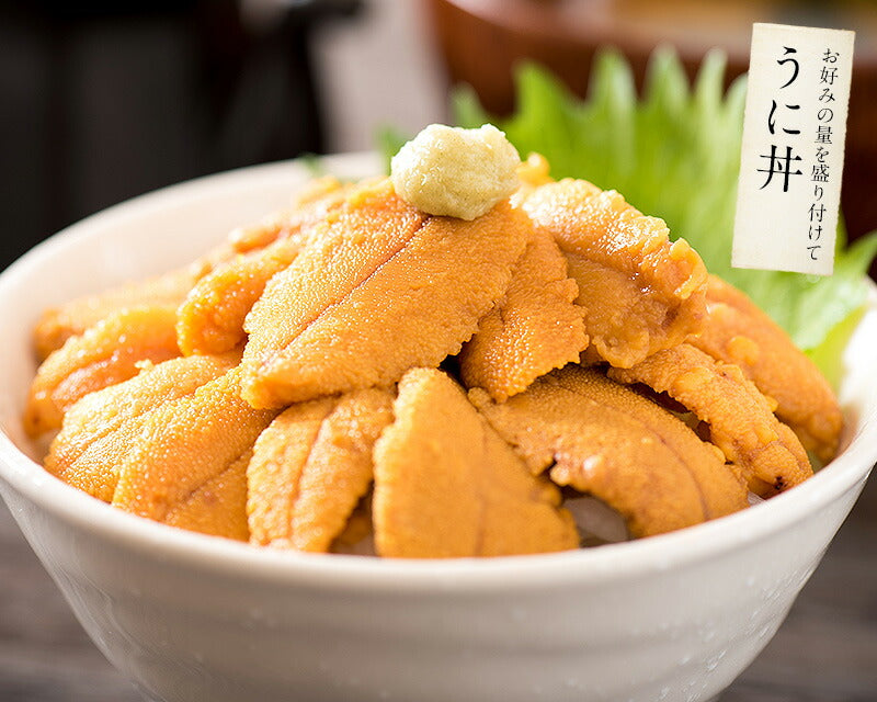 ウニ うに 200g（100g×2パック） 無添加 雲丹 お取り寄せ 海鮮 チリ チリ産 魚卵 高級グルメ 高級海鮮 お取り寄せグルメ 海鮮ギフト 美味しい 食品ギフト 高級食材 ［送料無料］ ギフト プレゼント