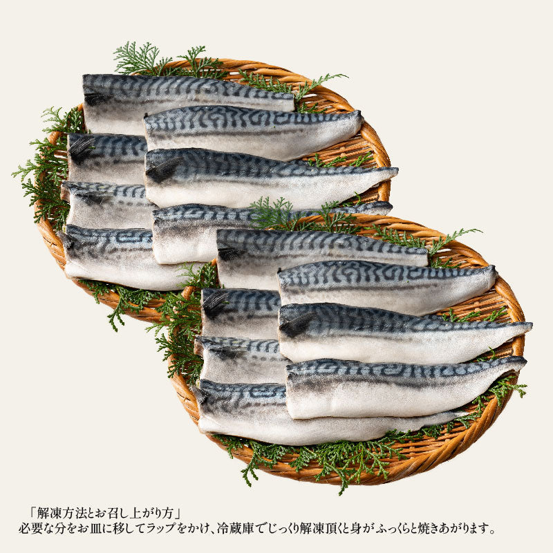 さば 無添加 無塩 トロさば サバ 鯖 約2kg(12〜16尾）トロ鯖 海鮮 天然 美味しい 魚 魚介 海産物 おかず おつまみ 乾き物 酒の肴 贈り物 お取り寄せグルメ 食べ物 おいしい 絶品【最安値挑戦祭】