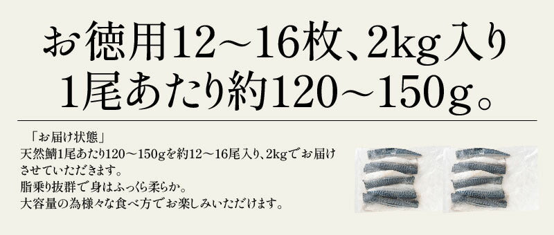 さば 無添加 無塩 トロさば サバ 鯖 約2kg(12〜16尾）トロ鯖 海鮮 天然 美味しい 魚 魚介 海産物 おかず おつまみ 乾き物 酒の肴 贈り物 お取り寄せグルメ 食べ物 おいしい 絶品【最安値挑戦祭】