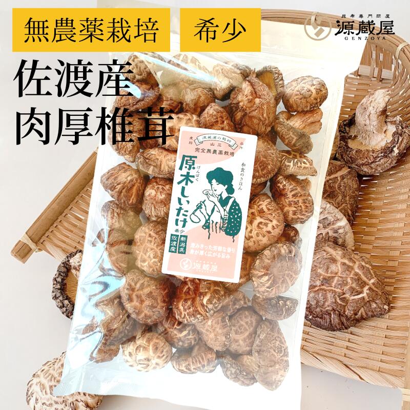 [大袋] 原木しいたけ 椎茸 肉厚 完全無農薬栽培 新潟県 佐渡産 250g