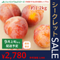 ［9月上旬より順次発送］プラム すもも 秋姫約1.2kg(6〜14玉) 山形県産 秀品 果物 フルーツ ギフト プレゼント JA共選品 ※一部地域は別途送料追加  【ゲリラセール】