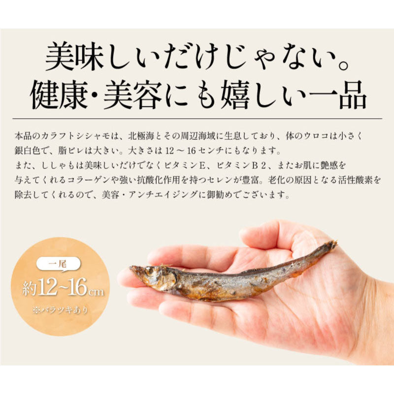 ししゃも シシャモ 燻製 150g おつまみ  カラフトシシャモ プレゼント ギフト  ※ポスト投函商品の発送は1～2週間前後になります