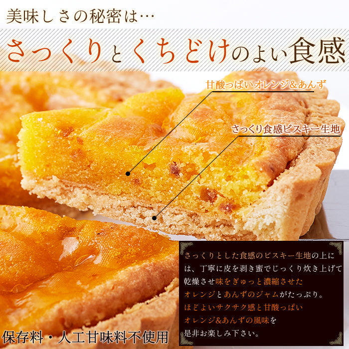オレンジ と あんず の タルト ケーキ5号 甘酸っぱい味わいと香ばしいタルト生地が絶妙!!ネコポス