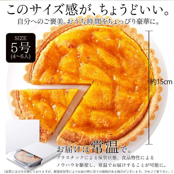 オレンジ と あんず の タルト ケーキ5号 甘酸っぱい味わいと香ばしいタルト生地が絶妙!!ネコポス