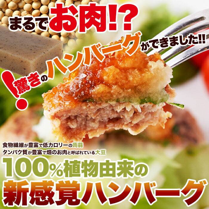 100％植物由来の新感覚 ハンバーグ !!マンナン大豆 ミートハンバーグ 90g×3袋 メール便