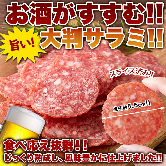 【3人シェア買いでお得】【お徳用】大判サラミ サラミ スライス 120g食べ応え抜群の大判サラミ!!ネコポス