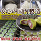 【3人シェア買いでお得】抹茶月詩 8個 柔らかいお餅を 粒あん と 抹茶 生地で包みました!!ネコポス