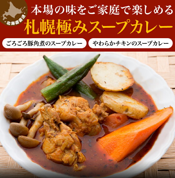 【タイムセール】札幌極みスープカレー（2食セット）
