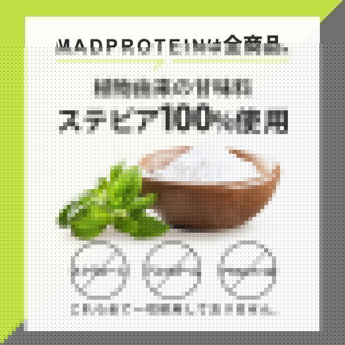 ソイプロテイン 5kg 塩キャラメル フレーバー 国内製造 (MADPROTEIN) マッドプロテイン